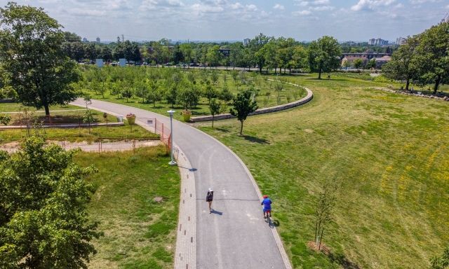 Aerial view of cyclists forming curved paths across park trails